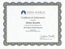 certificate open world program achievement lawyer ukraine